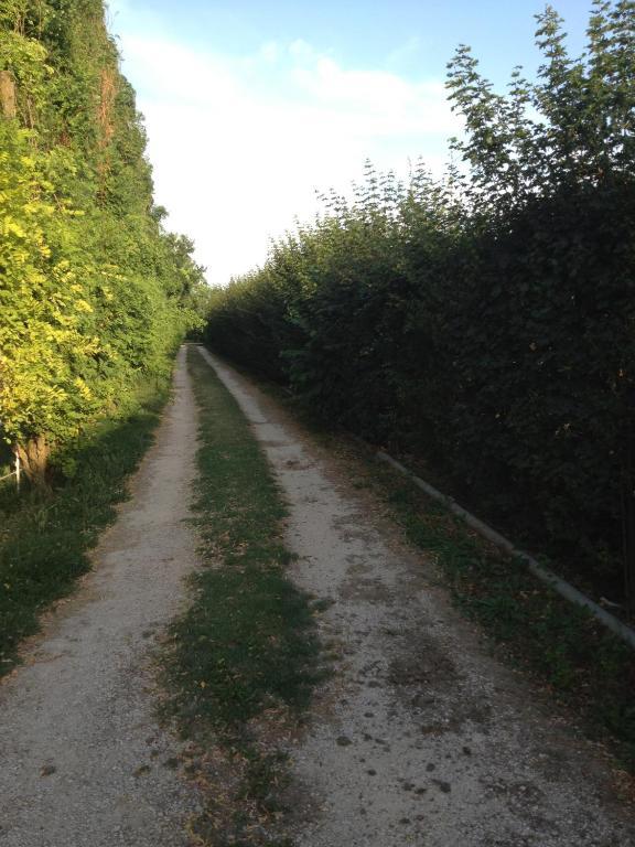 Societa Agricola Le More Agriturismo La Dondina Budrio  Dış mekan fotoğraf